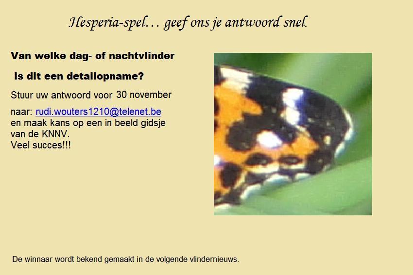 Hesperia-spel geef ons je antwoord snel.