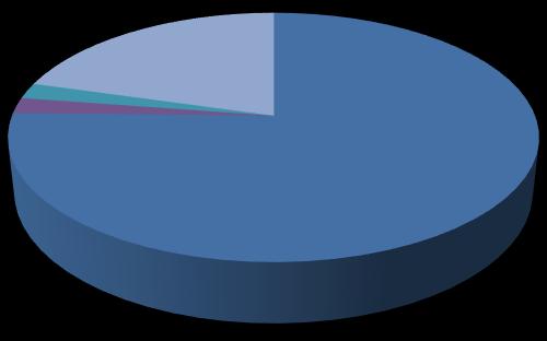 5.2. CIJFERGEGEVENS DIW Feit 148 113 87 Poging 53 47 55 Totaal 201 160 142 Verdeling naar wijk 2018 MTH Bethanie 8 9 28 Driehoek 18 10 Centrum Kaart 40 28 Mariaburg Vriesdonk Tijdstip 2018 2% 0%