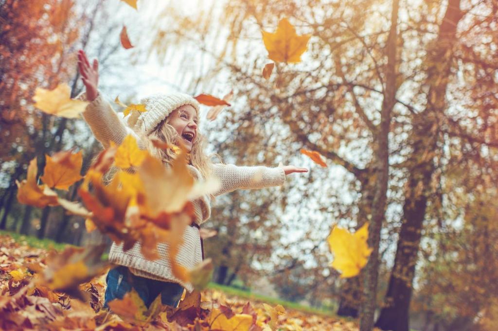 Een Wonderwoudje in jouw Gemeente De natuurvoordelen die bomen ons bieden zijn talrijk en divers. Zij reguleren onze temperatuur, zorgen voor zuiverder lucht en een betere waterkwaliteit.