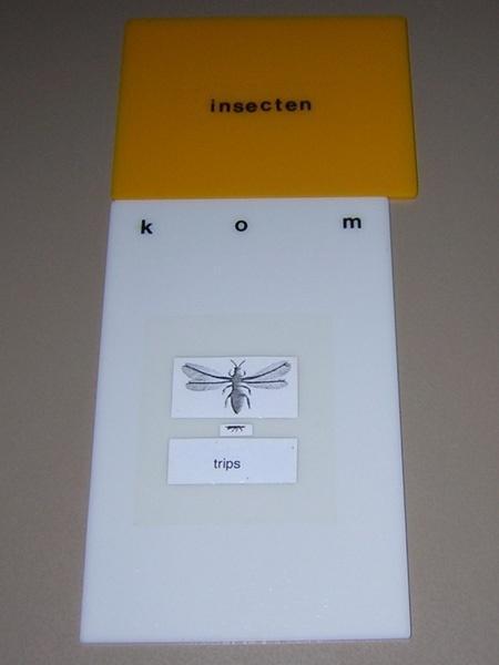 Als de kaarten naar insect schimmel plant zoogdier gesorteerd zijn is er een gezamenlijke opgave. Bovenaan de witte kaarten staan letters die samen een zin vormen.