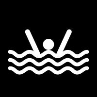 Terminologie Water safety (waterveilig) = all collective efforts of any society to promote all