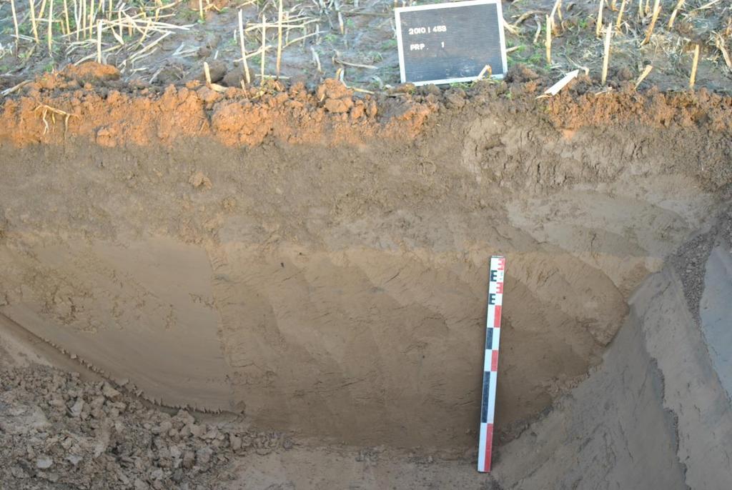 Fig. 6: Het profiel van proefput één. De teelaarde is aan de zuidkant van het terrein ongeveer 58 cm dik. In het midden van het terrein was ze nog 48 cm dik.
