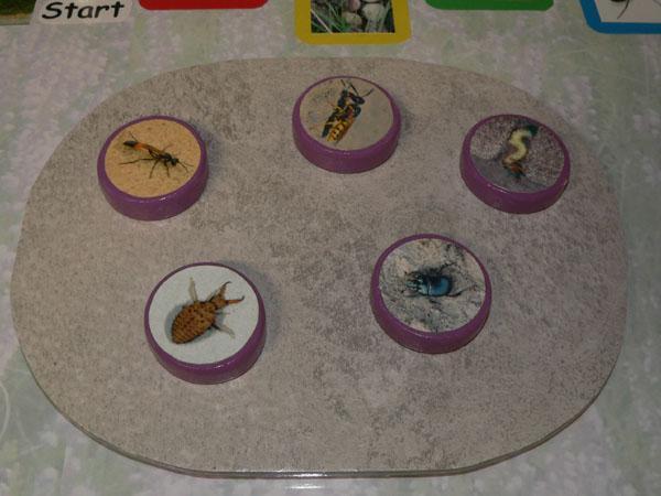 Leg de 5 houten schijven op de verhoging op het spelbord, met de afbeeldingen van de 5 dieren