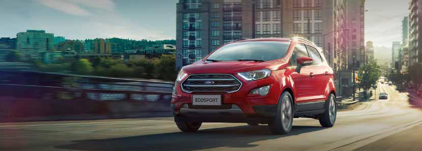 Ford EcoSport 2018-16 5 Spaak Magnetic Low Gloss Setnummer