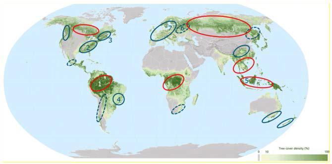 Bossen globaal Rode gebieden :