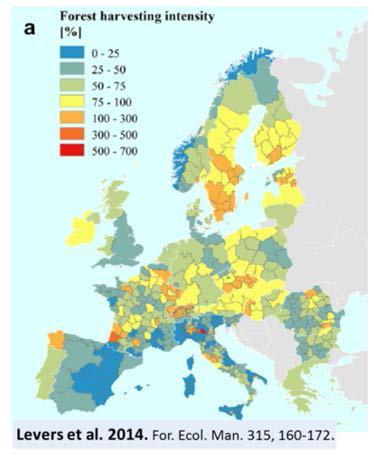 Houtoogst intensiteit Oogstniveau in EU Groei en oogst in