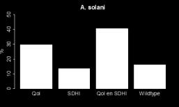 21 % 17 % SdhC H143R 22 % 38 % 41 % 6 % 21 % 43 % SdhB&SdhC H277Y/R & H143R 37 % 12 % 5 % 0 % 0 % 3 % SdhD H133R 0 % 0 % 0 % 0 % 3