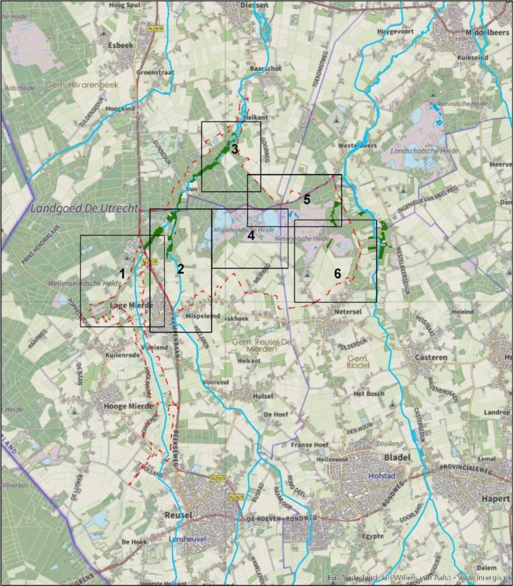 Kempenland-West N2000-Habitattypen: Vochtige alluviale bossen (broekbossen) Zure vennen Stuifzandheiden Zwak