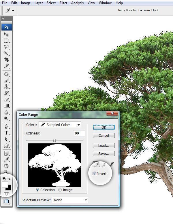 Stap 19 Foto van een bonsai boompje nodig, uitselecteren. Op een witte achtergrond kan je makkelijk met toverstaf het wit aanklikken, selectie omkeren en je boom is geselecteerd.