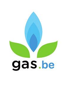 Het Green Gas Platform werd gelanceerd in 2019 en is een initiatief van Gas.be, ValBiom en Biogas-E.
