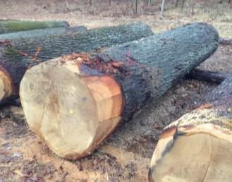Reststromen Overzicht WP4 Vraag en aanbod van hout lokaal en regionaal op