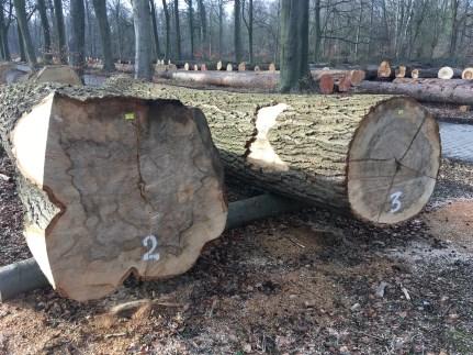 opstart Vlaams houtpark/veiling Op basis van de ervaringen opgedaan in de testcases verkoop langs de weg Varenbroek en verkoop via buitenlandse
