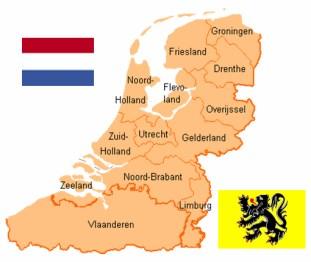 Houtveiling Nederland Houtveiling der Lage Landen Wetenswaardigheden Nederlandse Rondhoutveiling 2019 In totaal 44 verschillende kopers waarvan 4 uit het buitenland ( 2x Duitsland, 1x België, 1x