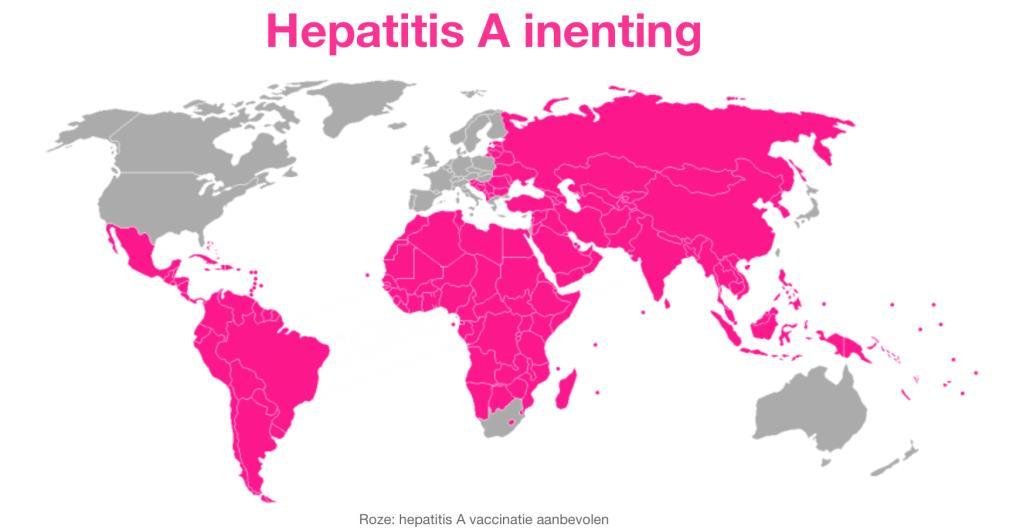 Reis vaccinaties: Hepatitis A & B leverontsteking Kunnen gecombineerd gegeven worden( heeft de voorkeur) serie van 3 vaccinaties: maand 0 -maand 1 - maand 6 tot 12 Alleen