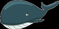 Maar er zijn er ook een paar in de zee. De bruinvis lijkt op een dolfijn.