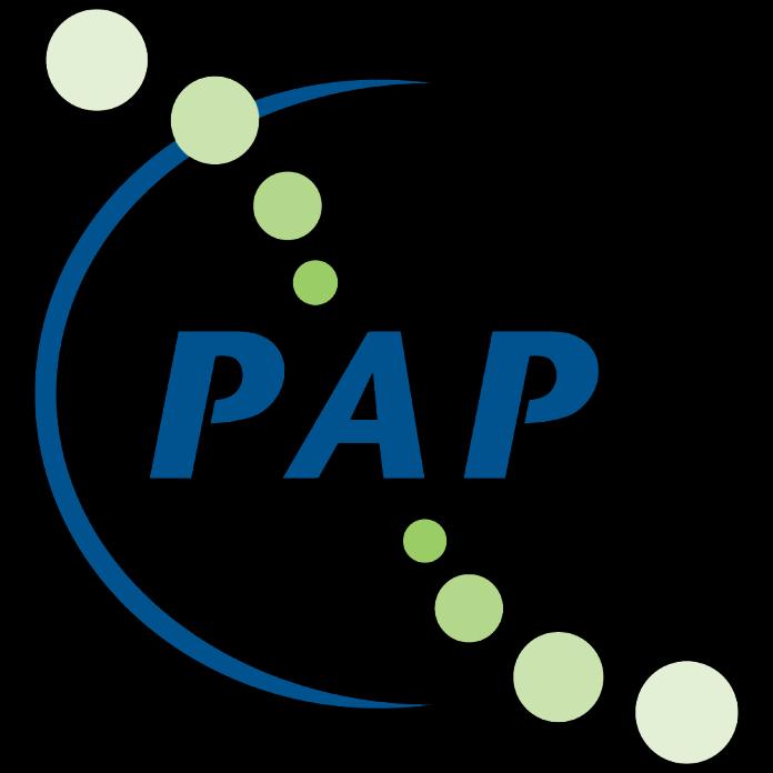 Commissies 2019-2020 Studievereniging PAP