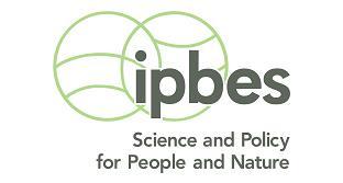 IPBES Global Assesment: nog nooit zoveel soorten bedreigd 145 auteurs uit 50 landen Ruim één miljoen soorten met uitsterven
