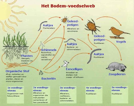 Meetset Bodembiodiversiteit Marjoleine Hanegraaf en Frans van Alebeek Spreker Datum Doel De meetset bodembiodiversiteit bespreken Inhoud: Inleiding Uitgangspunten De