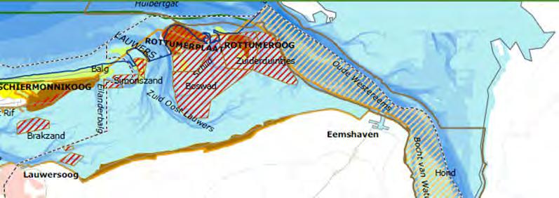 Soortbeschermingstoets Cobra cable De groenknolorchis heeft het sinds 2012 moeilijk in het Eemshaven gebied terwijl de rietorchis het in 2012 relatief goed deed, zowel op de moerasstrook langs de