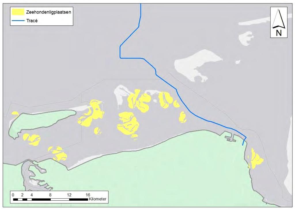 Soortbeschermingstoets Cobra cable Gewone en grijze zeehonden komen voor in de Noorzeekustzone en de Waddenzee.