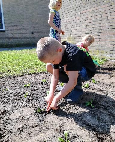 Nieuws uit groep 1, 2 4 en 5 Schoolreis Morgen is het zover, dan hopen wij met alle kinderen van groep 1 t/m 5 op schoolreis te gaan naar Julianatoren in Apeldoorn.