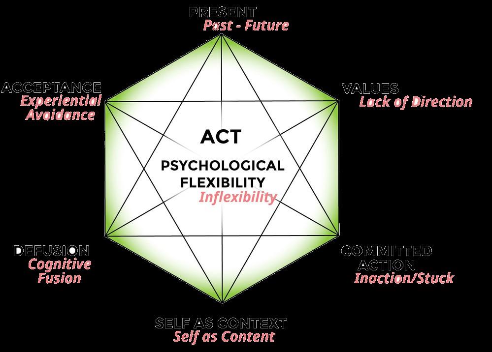 De 6 processen van het ACT model 1. Acceptatie 2. Defusie 3.