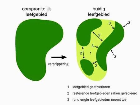 Een van de grootste problemen van de Nederlandse natuur is versnippering. De ecosystemen in Nederland worden te klein om gezonde populaties van verschillende individuen te herbergen.