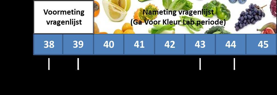 5. Onderzoek naar het GVKL op de beleving van klanten in de supermarkt 5.