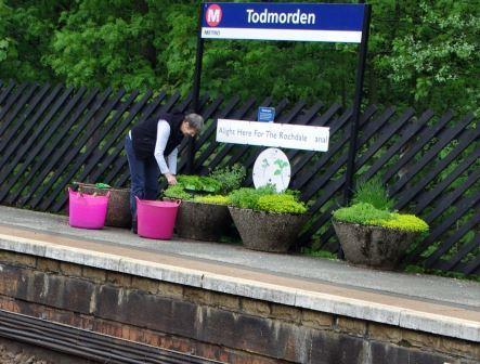 (Bottom) Planters at the train station in Todmorden, England 2017 Incredible Edible Todmorden. 7.1.2. Thriving trees You are strolling in Goor, and suddenly feel like sitting down on a bench for a few minutes and relax.