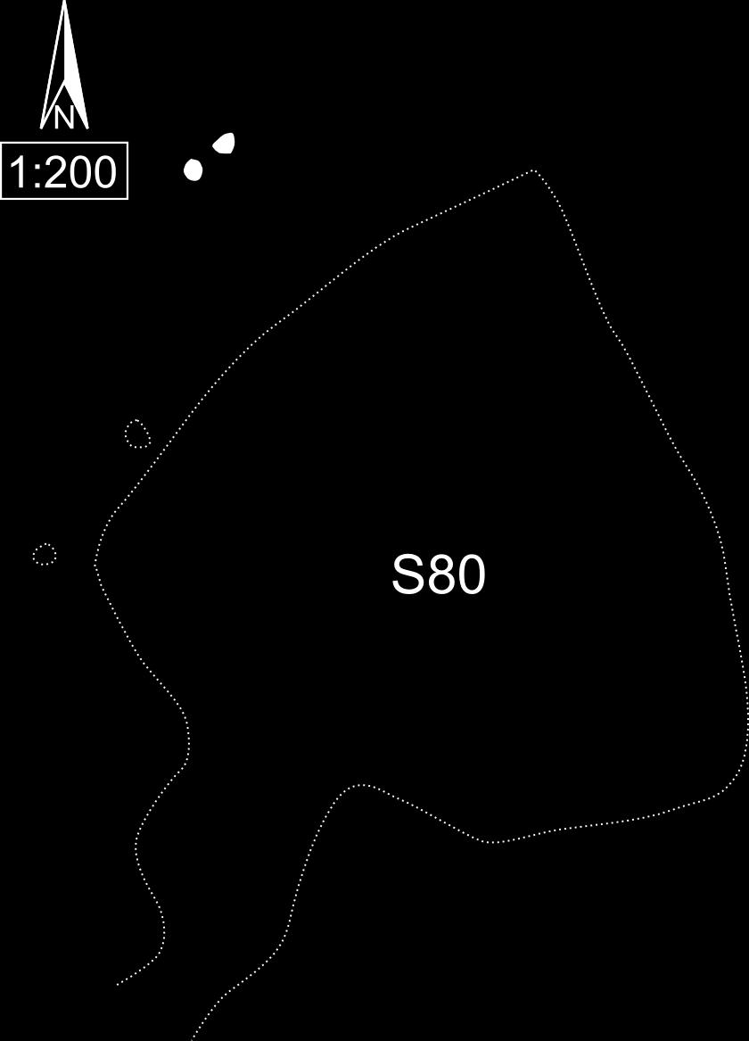 Structuur 3 (ST3) Spoornummers: S53 en S54. Type plattegrond: 2- palige constructie. Constructie: De afstand tussen beide palen bedraagt 0,6 m. De oriëntatie van de palenrij is NO- ZW.