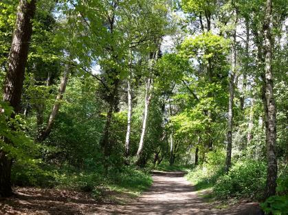 In het gebied wordt een landschapshistorische wandelroute beschreven die via enkele woonbuurten van Den Dolder Noord naar het Pleinesbos loopt.