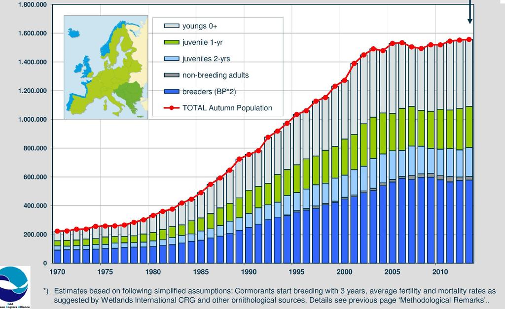 Figuur 5: Schatting van de aalscholverpopulatie (verschillende leeftijdscategorieën) in Europa in de periode 1970-2014 (Kohl, 2015) 4.