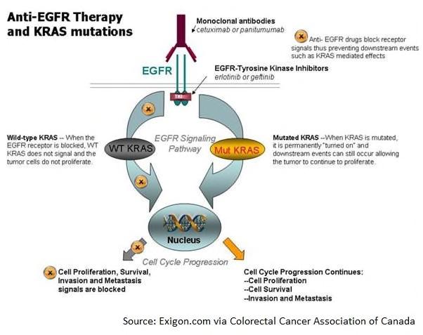 NGS coloncarcinoma: