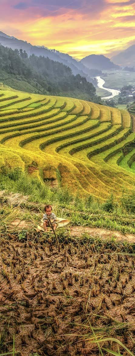 Landbouw in Vietnam Vietnam, officieel de Socialistische Republiek Vietnam, is een langgerekt land, aan de oostzijde van het schiereiland Indochina in Zuidoost-Azië.