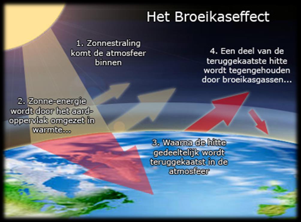 De gevolgen.. Inmiddels weet je dat insecten een goed alternatief zijn voor vlees. Ook weet je dat de mens de aarde heel intensief gebruikt.