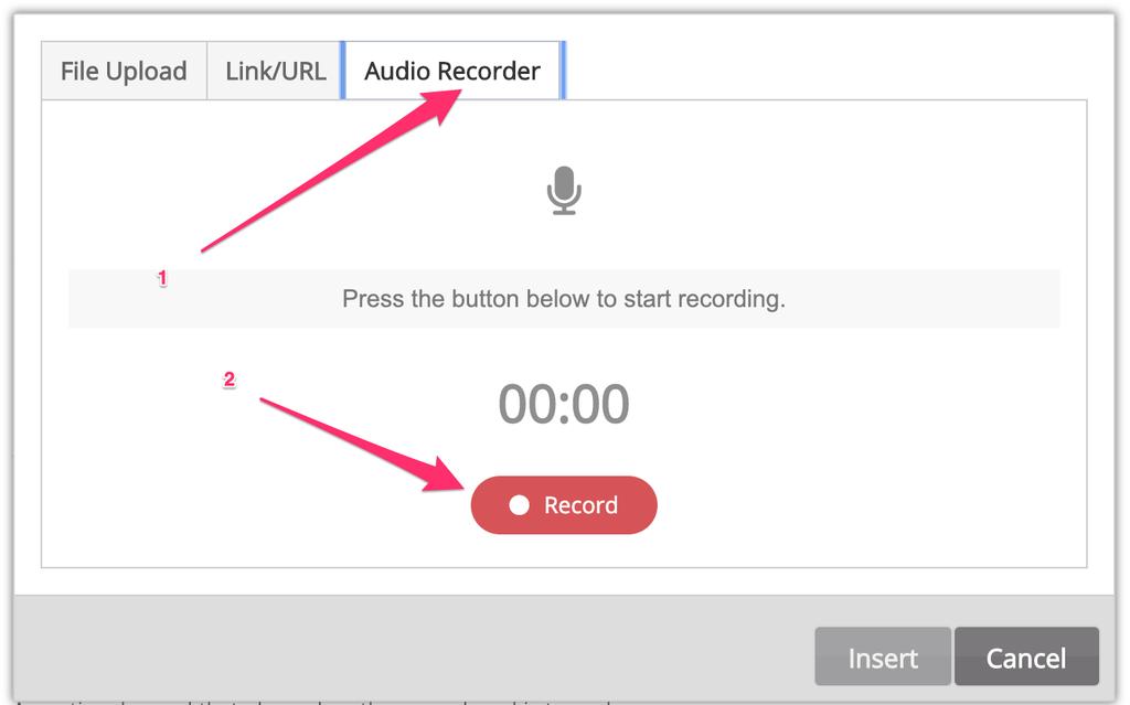 Stap 6: opnemen met de Audio Recorder (aanbevolen) Om een opname te maken met de Audio Recorder