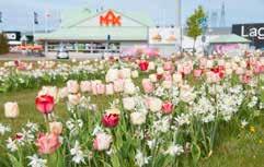 PRIMA ILLE ET VILAINE Zelfs als we de neiging hebben om een natuurlijk effect te bereiken met mechanische beplanting, worden we soms ook verleid door