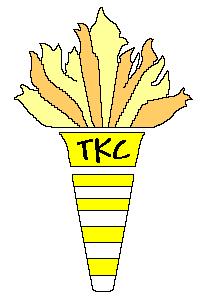 TKC - info januari 2011 De fakkel.