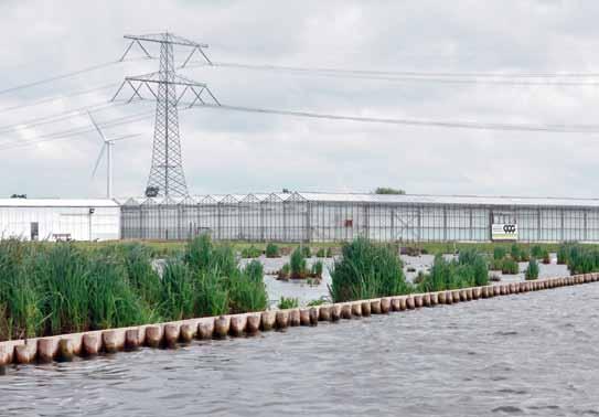 Op basis van de uitkomsten van deze watertafels heeft de Klankbordgroep een advies uitgebracht aan het RBO met zowel procedurele als inhoudelijke aanbevelingen.