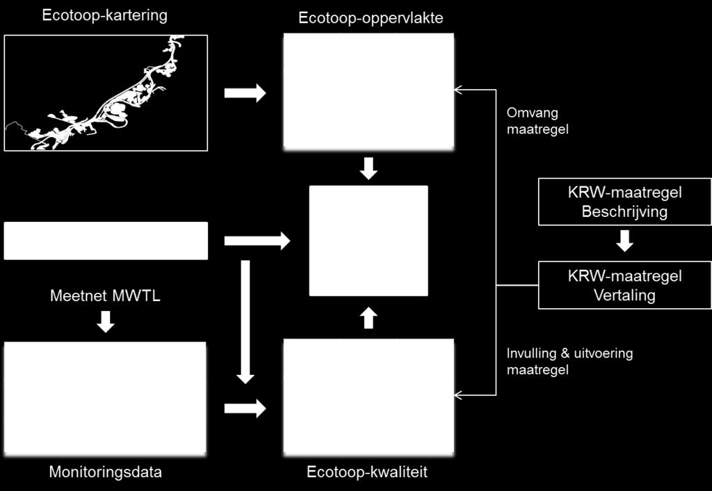3 Ecotoop-areaal De ecotopenkartering van de Rijkswateren brengt de ligging van de ecotopen in beeld op basis van luchtfoto s en data op de grond.