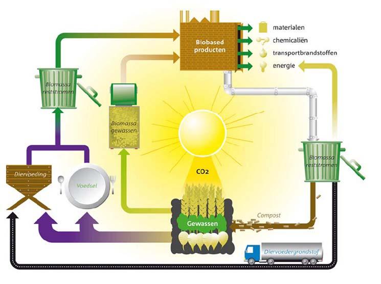 Focus op groene grondstoffen (biomassa) als deeloplossing.