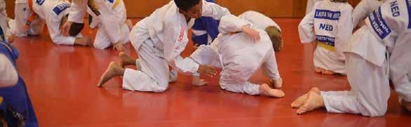 Judo staat al jaren centraal bij Sportschool van der Velde. De afdeling is groot en professioneel. Judo is vanaf 4 jaar en je word in gedeeld op leeftijd en niveau in een fijne sfeer.