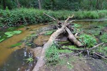 Leven-de-Dommel 1.