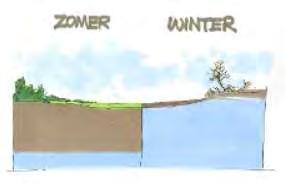 (afvoeren), maar laten infiltreren (grondwater voeding) Vasthouden van water in de haarvaten in het landelijke gebied - Aanleggen en gebruiken van (tijdelijke)