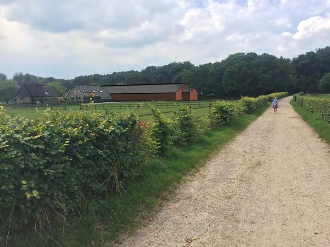 Advies nieuwe veestal, Rijksstraatweg 1, Leersum Pagina 3 De samenhang is beleefbaar door de aanwezigheid van een veelgebruikte looproute tussen de westkant van Amerongen van en naar het landgoed,