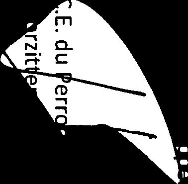 De toezegging in de memorie van toelichting dat de criteria objectief en non-discriminatoir zullen zijn, stelt de WeCo niet bepaald gerust.