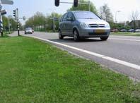 berm/kruidenrijk gras Bermen worden toegepast langs de wegen. Naast een aankledingsfunctie heeft dit gras vooral een verkeersfunctie.