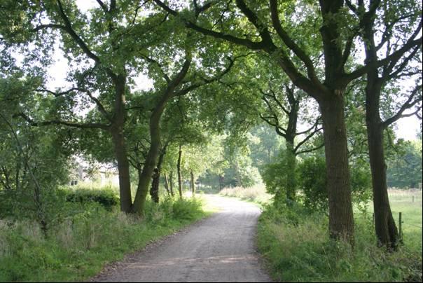 Het betreft met name extensieve gebruik van het terrein als trapveld, vliegerveld, natuur, extensieve begrazing.