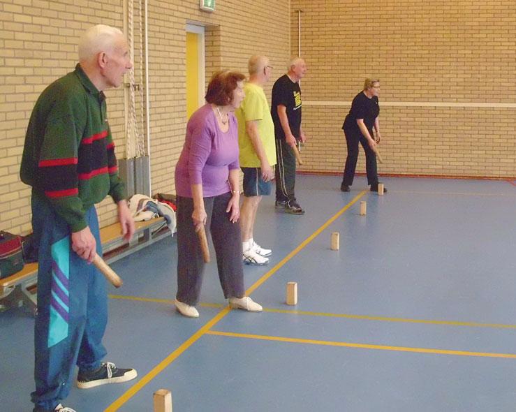 Voor wie is deze folder? De activiteiten van dit project zijn bedoeld voor alle ouderen vanaf ongeveer 60 jaar. Voor de actievere ouderen zijn er beweegactiviteiten in de gymzaal of in de buitenlucht.