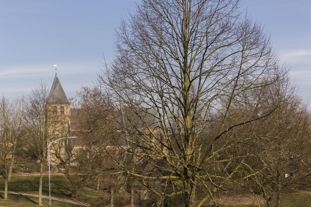 Uitzicht op: Droomhuis Makelaardij, Schoolweg 4a